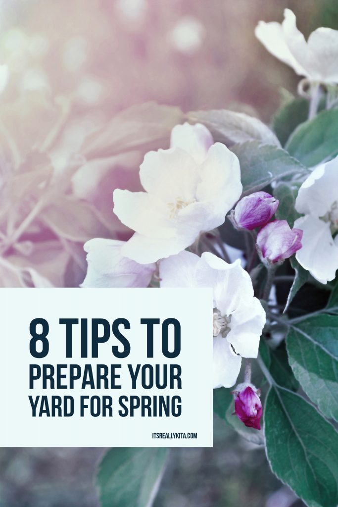 I always like to give my yard a bit of a pep talk before spring fully hits so we can get the most out of the season. Here are a few spring yard cleanup tips for preparing your own yard!