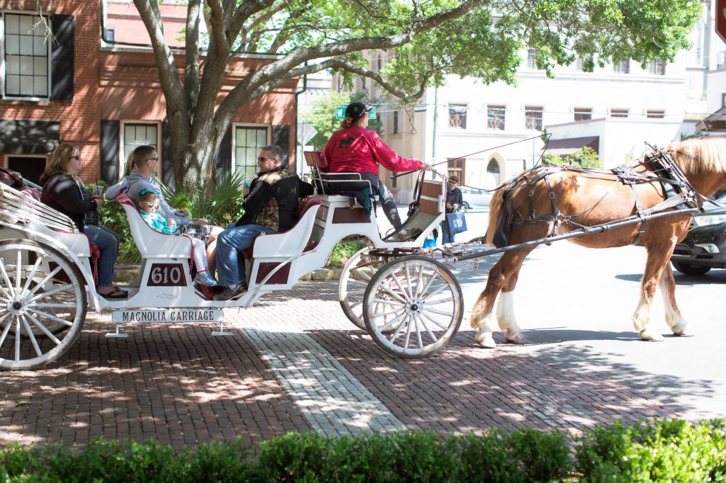 Spring Break in Savannah - Horse Drawn Carriage