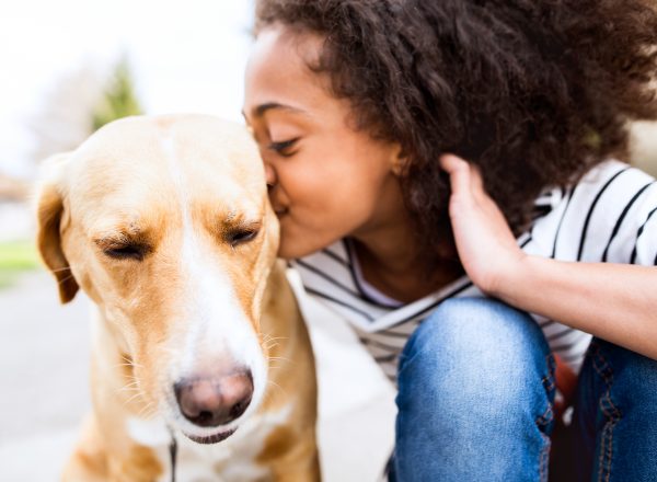 How to find the best pet for your family if you or your kids have allergies